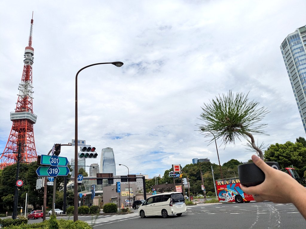 bara_BONSAI's tweet image. webXに盆栽チームも参戦🌳

東京タワー×まじすけ盆栽😎

#webx