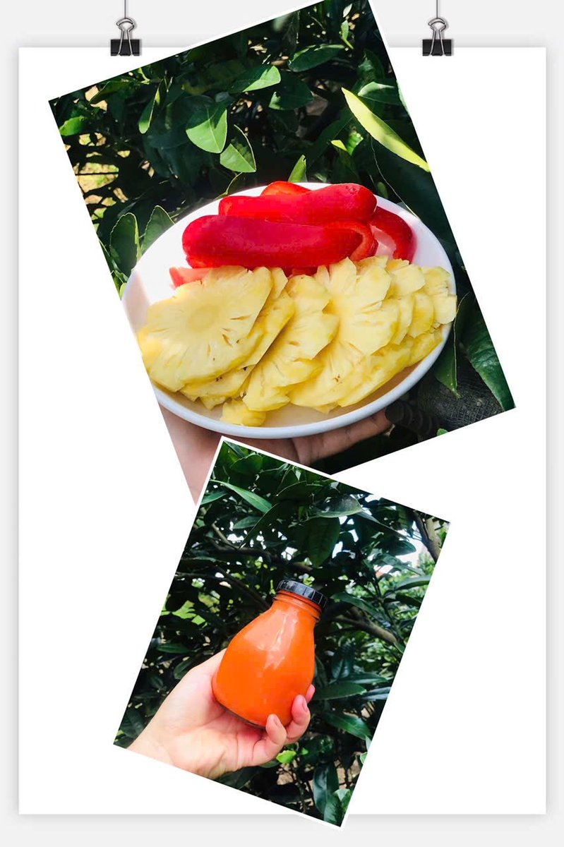 lethuonghd86's tweet photo. #nutmilk #juice #healthyrecipes #diet #energy https://t.co/TjuNfmPgzQ