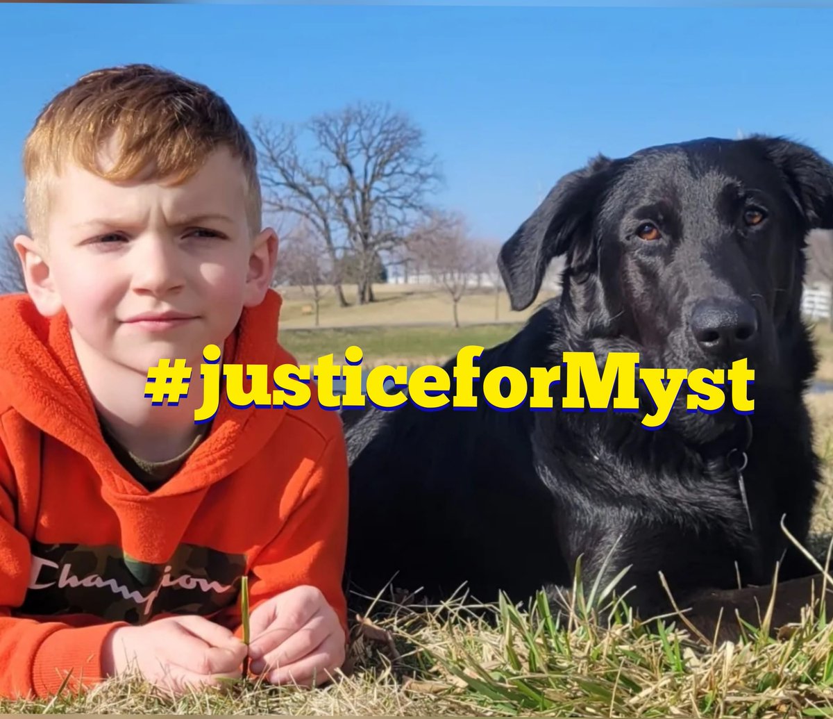 donhesseltine's tweet image. #justiceformyst