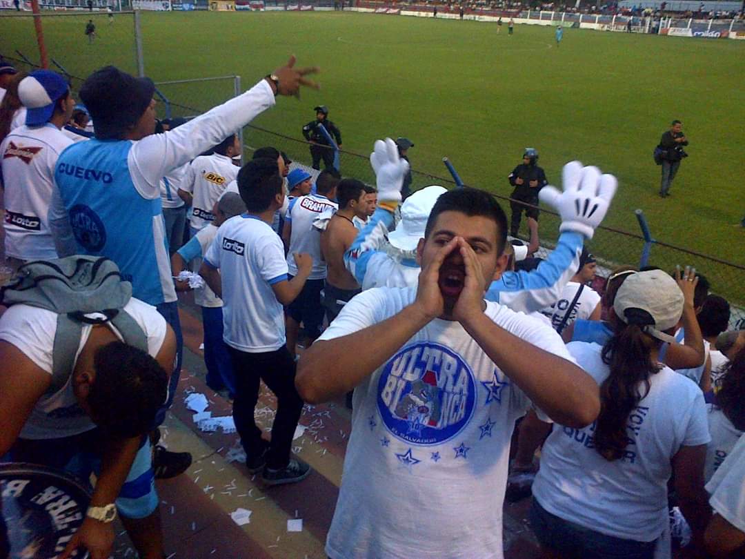 Albo Paquidermo tweet media