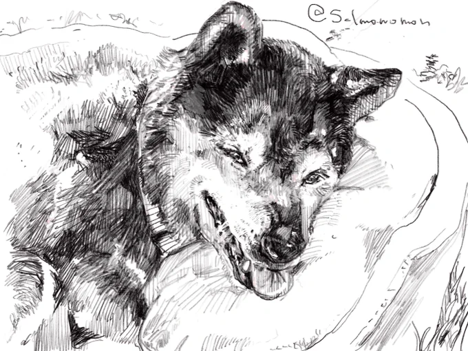 もうどこにもいないけど、描いてみせるので 