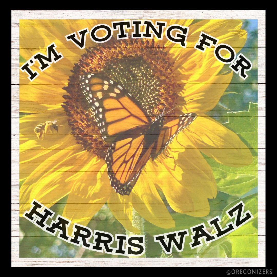OregonizerSouth's tweet photo. 🌻 Gardeners know that growth takes time, care, and patience. Let’s cultivate a future where everyone thrives. Support our candidates, and let’s grow something beautiful. #SouthernOregon #GrowForChange https://t.co/8em5D6h8ct