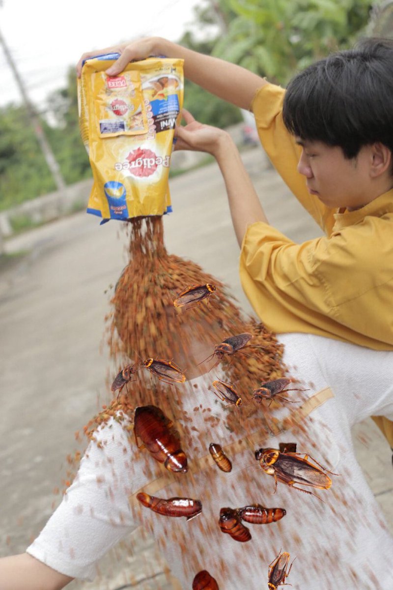 PimCorgi's tweet photo. นางแบก หม่ำๆ
หม่ำๆ กู๊ดบอย
กู๊ดบอย หม่ำๆ
หม่ำๆ เก่งมาก
นางแบก หม่ำๆ 
หม่ำๆ กู๊ดบอย 
กู๊ดบอยหม่ำๆ 
หม่ำๆ เก่งมาก เก่งมาก เก่งมาก https://t.co/gqGsZejwCL