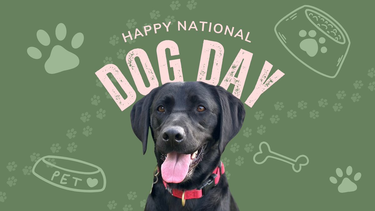 CALM Conference tweet media