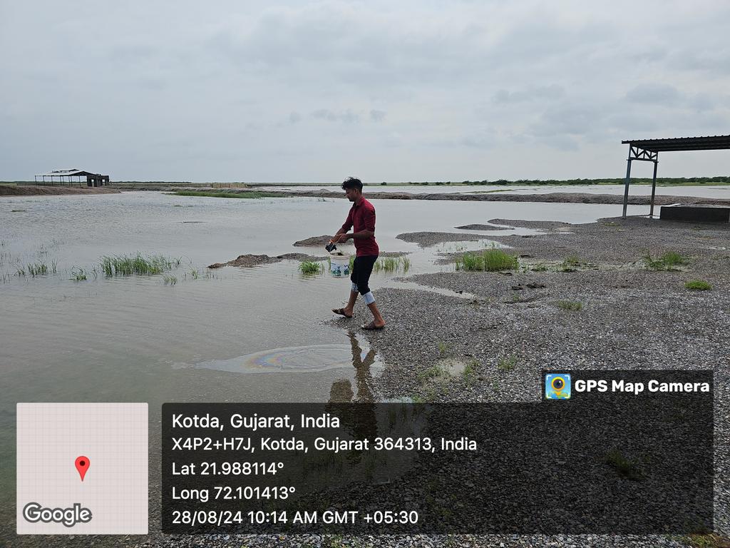 lukhisanjay501's tweet photo. વરસાદી પાણીના ખાબોચિયા માં મચ્છર ઉપદ્રવ ના થાય તે માટે ખાબોચિયા માં બળી ગયેલ ઓઇલ નો છાંટકાવ https://t.co/DxDiAEHFIM