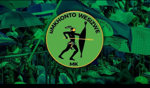 Nolwazi Nkomo tweet media