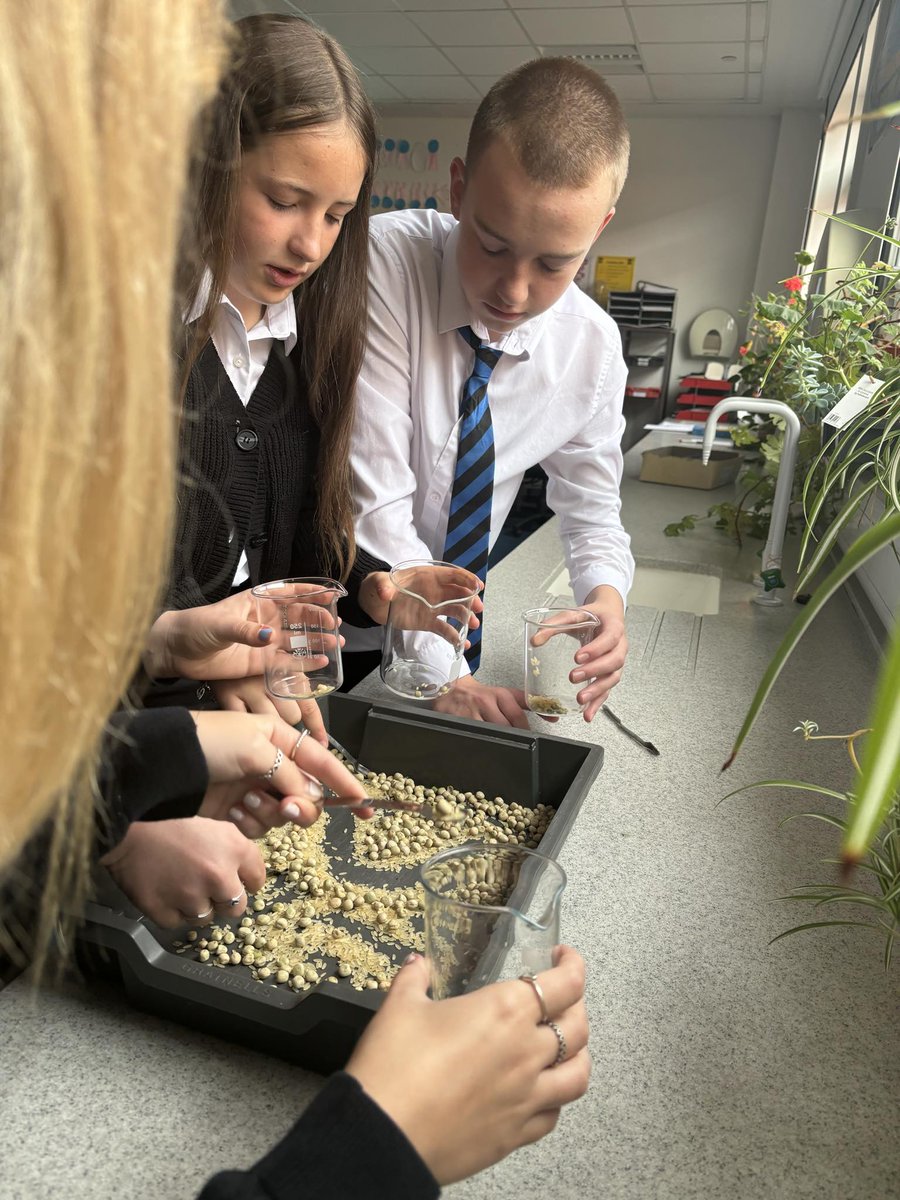 BHSscience tweet media