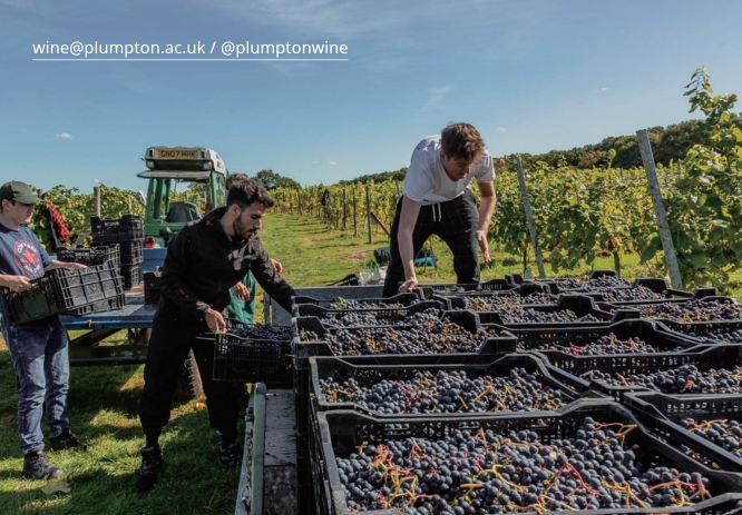 FDQ (@fdq1) on Twitter photo 🌟 Unlock Your Potential in the Wine Industry with Plumpton College! 🌟
At FDQ we are proud to support <a href="/PlumptonWine/">PlumptonWine</a> , a leading institution offering top-notch Education and Training in the UK #wine Industry🍇🍷 🌟 Unlock Your Potential in the Wine Industry with Plumpton College! 🌟
At FDQ we are proud to support <a href="/PlumptonWine/">PlumptonWine</a> , a leading institution offering top-notch Education and Training in the UK #wine Industry🍇🍷