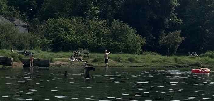 bitternepark's tweet photo. Councillor warns of ‘very severe risk’ of illness for river swimmers  >> https://t.co/WV932LBWj9 https://t.co/l22mHp9Kl7