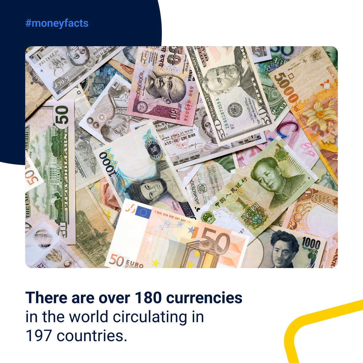 🤓 Fact of the day:

The most traded currency worldwide is the USD. Other frequently traded currencies include the euro, Japanese yen, and pound sterling.

#OnlineMoneyTransfer #CurrencyExchange
#BorderlessPayments #Sendmoney #money #moneyfacts #moneytalks #TransferGo