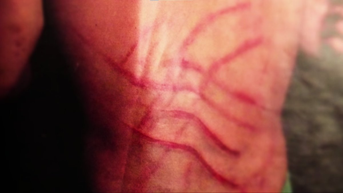 Jorge Allen's back against France in the 80s
Argentina vs France, Velez Sarsfield