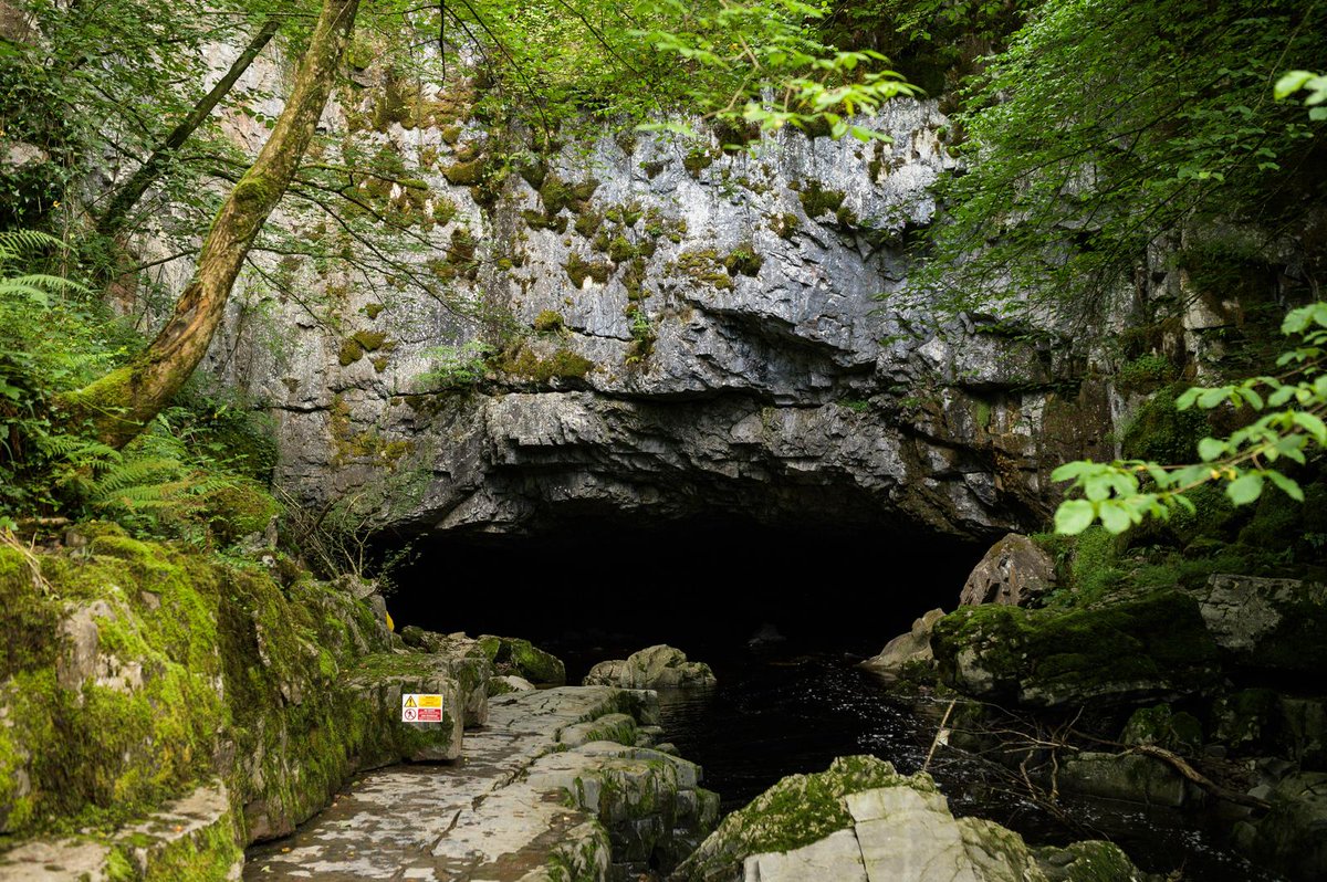 LATERAL NORTH tweet media