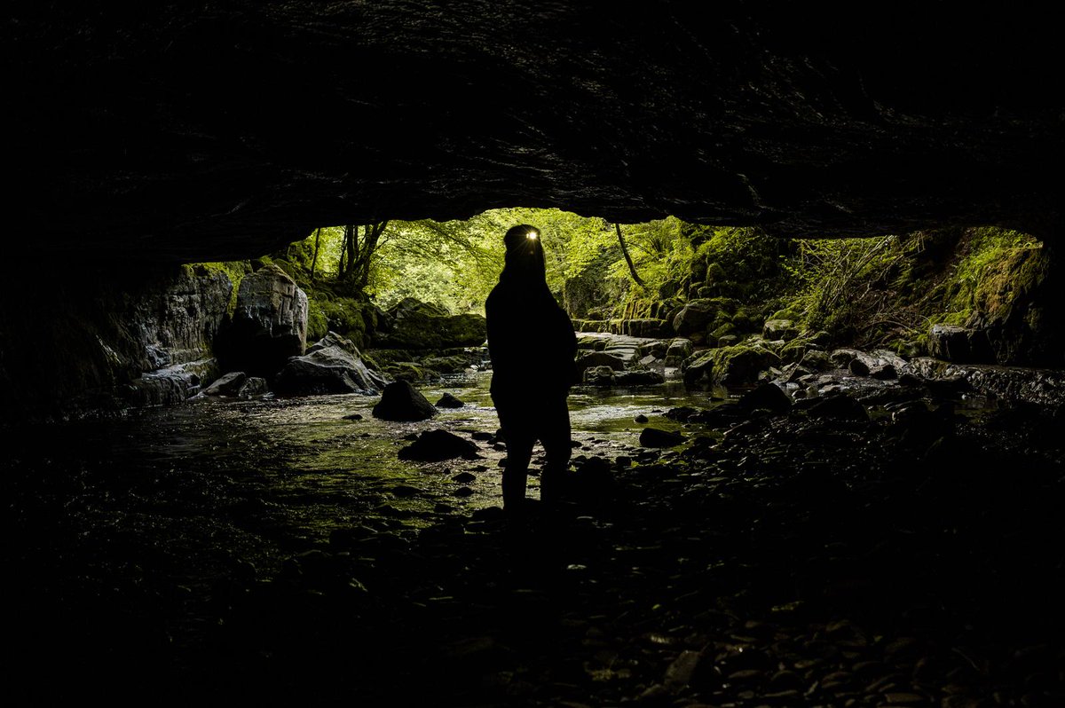 LATERAL NORTH tweet media