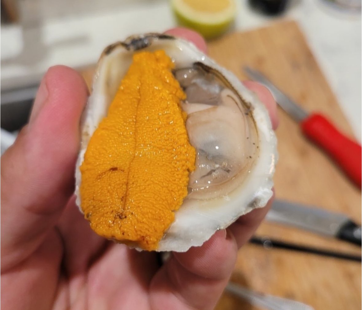 Sea Stephanie Fish tweet media