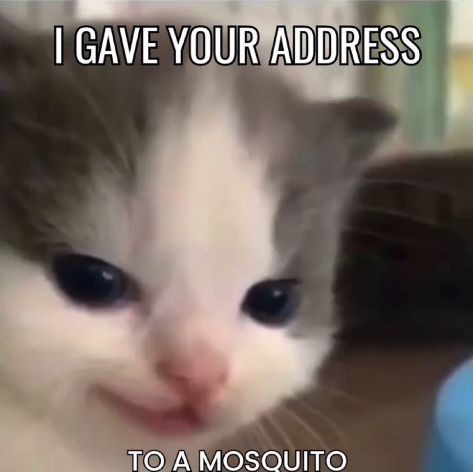 mozziespace's tweet photo. @mitewwCS https://t.co/PagRG8A7U4