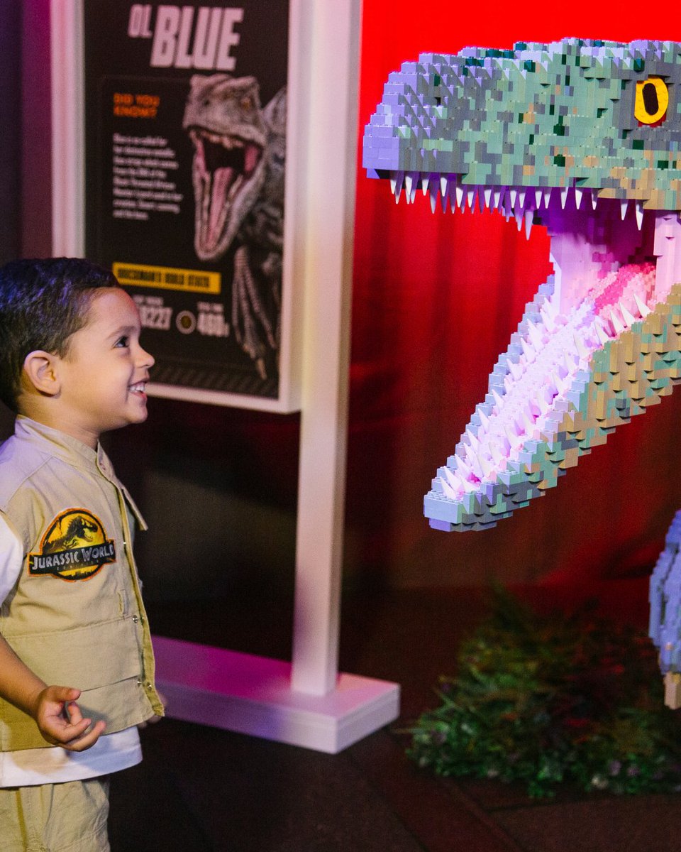 fever_br tweet media