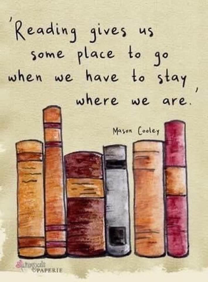 Elaine Owen (@owenelaineowen1) on Twitter photo 
