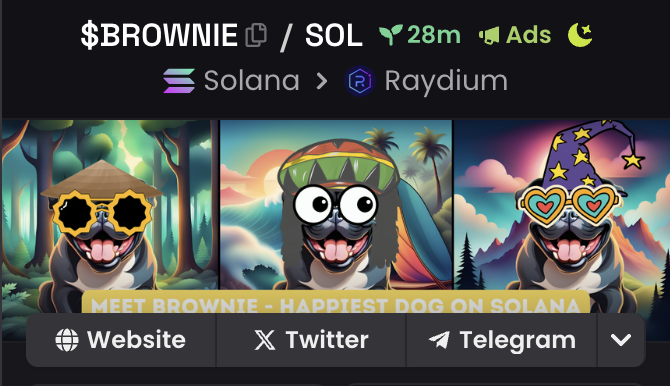 memebrownie's tweet photo. @dexscreener ads are live! https://t.co/hERBZVZVPf