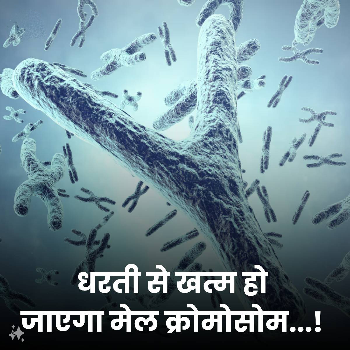 amitshamotabhai's tweet image. 🔥 #ShockingReport #Research

The Y chromosome is ending from the world.

Y chromosome genes determine the male sex in children of humans and other mammals. A recent study has found that Y chromosomes are slowly declining. The study found that the Y chromosome is gradually
