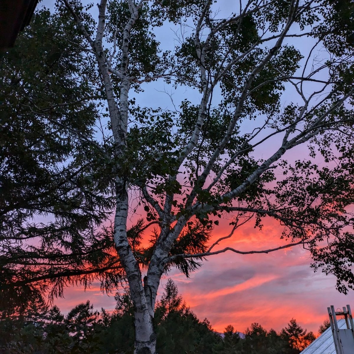 Beautiful sunset tonight!  

#Madaraokogen #斑尾高原 #斑尾   

Pic: 寺瀬俊彦 (Restaurant Jazzy)

madaraokogen.com