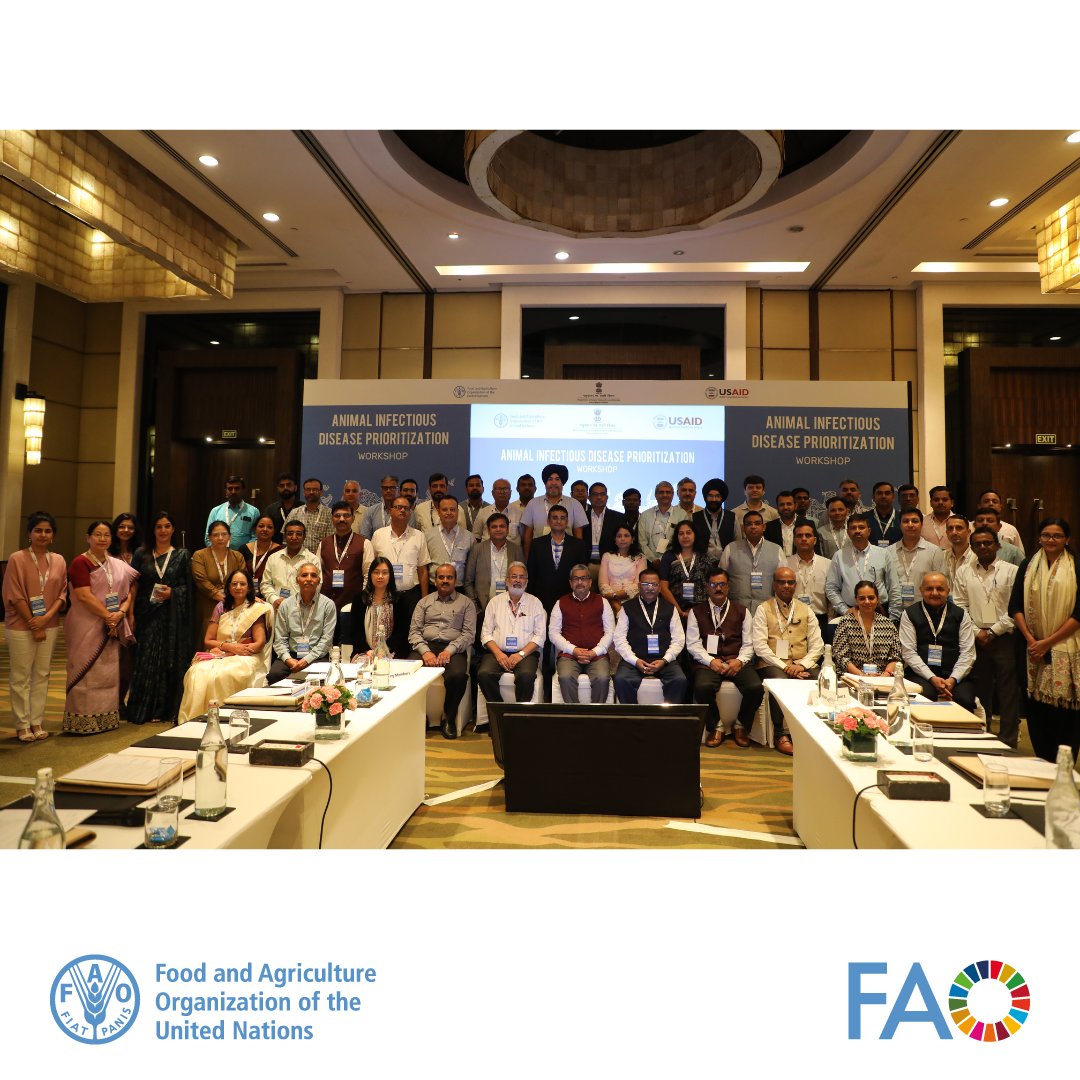 FAO India (@faoindia) on Twitter photo A 3-day joint workshop by <a href="/FAO/">Food and Agriculture Organization</a> and <a href="/Dept_of_AHD/">Dept of Animal Husbandry & Dairying, Min of FAH&D</a> to prioritize animal infectious diseases, focusing on those with significant impact on animal and human health in India is currently underway in New Delhi.
#OneHealth #AnimalHealth #ECTAD #4Betters A 3-day joint workshop by <a href="/FAO/">Food and Agriculture Organization</a> and <a href="/Dept_of_AHD/">Dept of Animal Husbandry & Dairying, Min of FAH&D</a> to prioritize animal infectious diseases, focusing on those with significant impact on animal and human health in India is currently underway in New Delhi.
#OneHealth #AnimalHealth #ECTAD #4Betters
