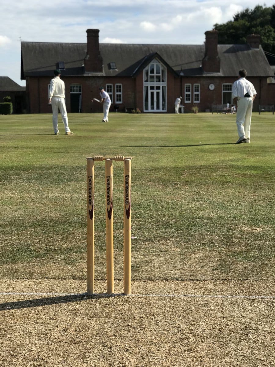 The Friendly Cricket Collective tweet media
