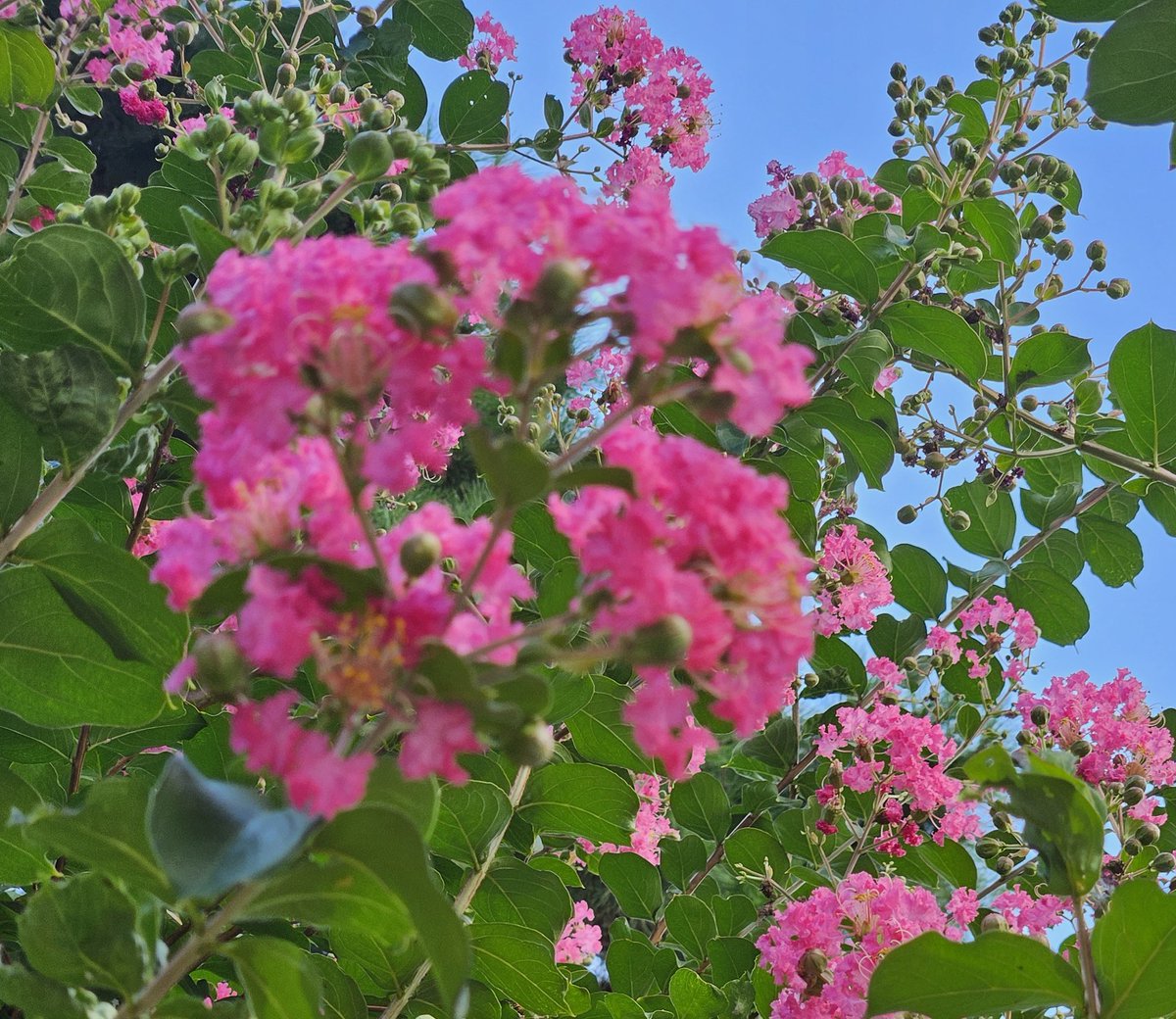 good5792's tweet photo. https://t.co/Wt8lDOu9eQ