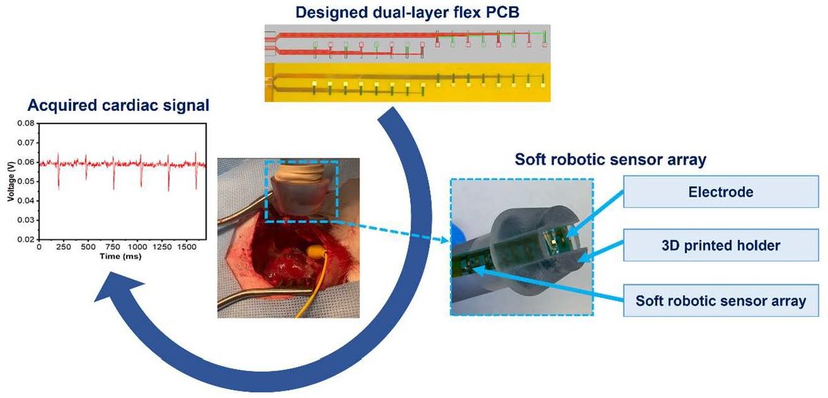 #Micromachines

👏Welcome to read
📚The paper "Creating Stretchable Electronics from Dual Layer Flex-PCB for Soft Robotic Cardiac Mapping Catheters"
👔Edited by Abdellatif Ait Lahcen, et al.
👉Available at: mdpi.com/2072-666X/14/4…