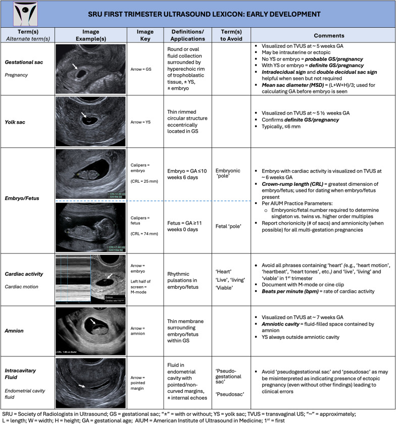 AJOG_thegray's tweet photo. AJOG Special Report:  A Lexicon for First-Trimester US: Society of Radiologists in Ultrasound Consensus Conference Recommendations: Early development https://t.co/Niyr1s1wXy https://t.co/KriKpzN3Lj