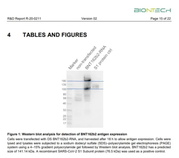Sabisteb's tweet image. Hat man doch. Man hat es halt einfach ignoriert. Ich erinnere auch an dieser Stelle an #blotgate