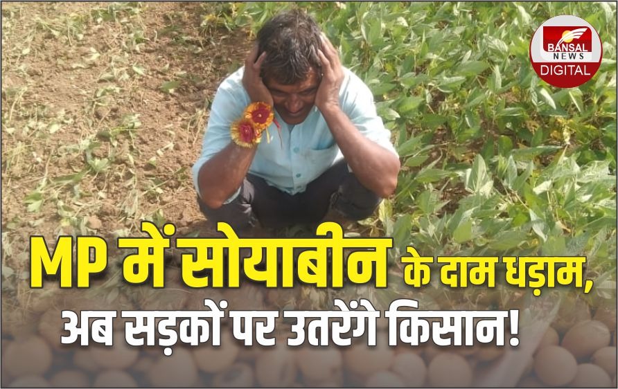 ra_reporter's tweet photo. किसानों के विरोध की ये वजह: एक एकड़ में सोयाबीन लगाने की लागत 20 हजार, 3500 के भाव पर बेचा तो मिलेंगे सिर्फ 17500 रुपये

#KisanProtest #MPKisan #MPNews #MPGovt

खबर पढ़ें: https://t.co/mCfMuxhEkg

वीडियो देखें: https://t.co/aizVXM7kem https://t.co/3yeB1ydqT4