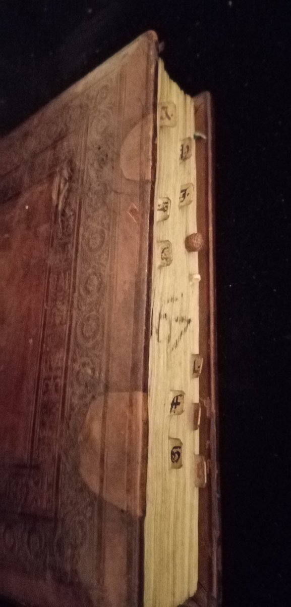 Sophie Bacchus-Waterman tweet media