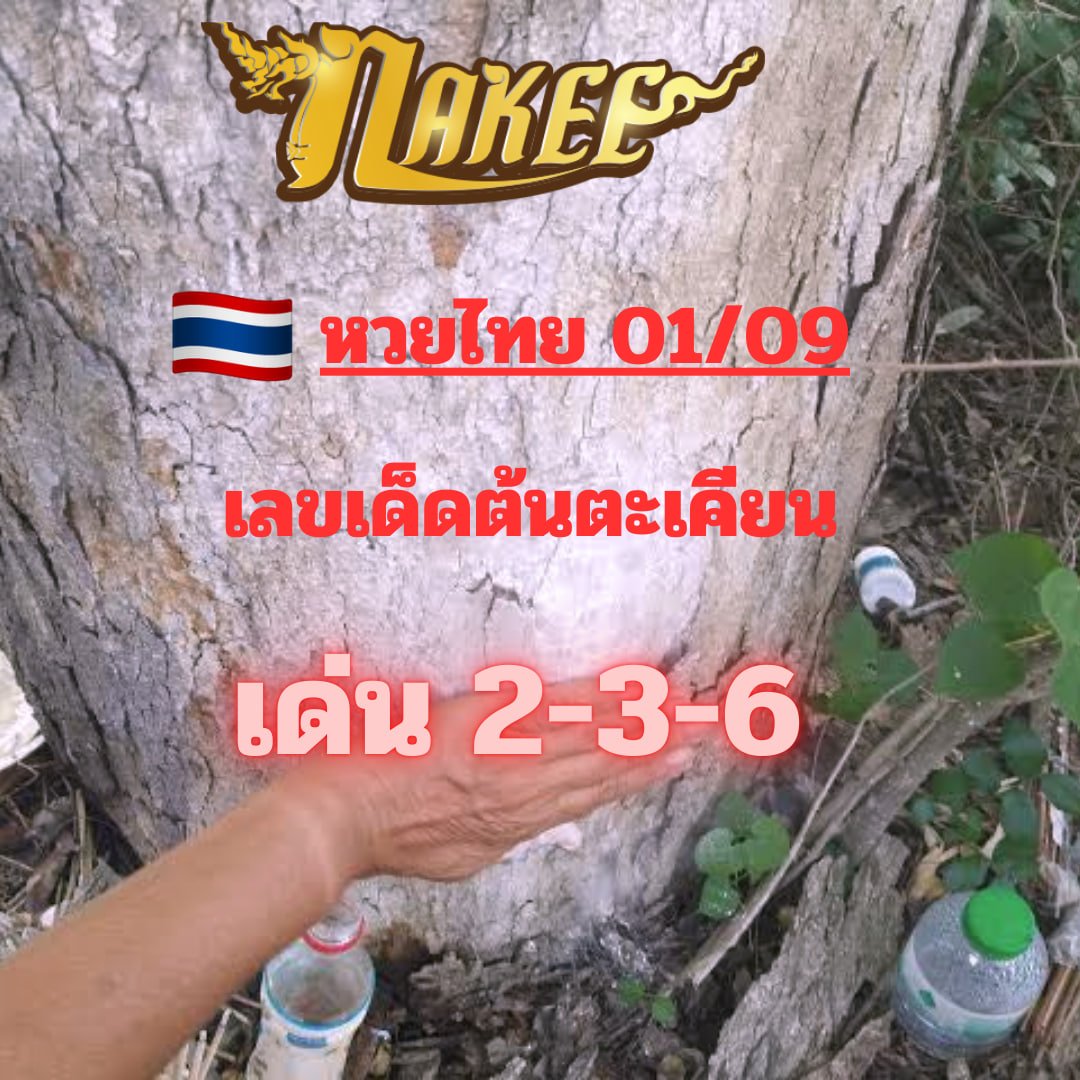 Listingiohaha's tweet photo. 🇹🇭🙏แนวทาง ไทย 01/09/67 

ใคร♻️รี + ❤️ไลค์ ขอให้บุญบารมี ส่งผลให้ถูกหวย

📌ลิงค์ปลุกเสก: https://t.co/KGieCaqUUJ
✅ทักไลน์: https://t.co/lskwJKheG0

#หวยงวดนี้ #เลขเด็ดงวดนี้ #เลขเด็ด #รวยเลขเด็ด #flupower #nakee https://t.co/2sHqa50w03