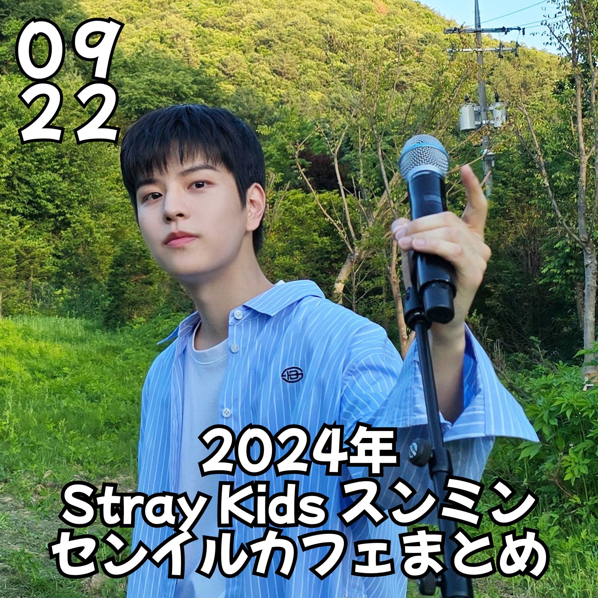 noeasy スンミン まとめ売り straykids noeasy maniac スンミン ミニポスター セット - メルカリ