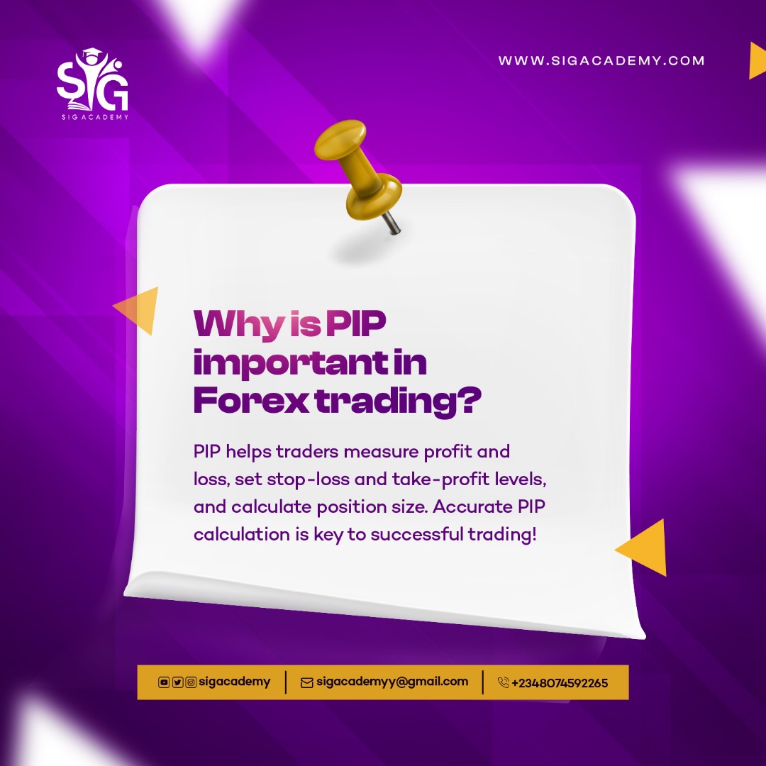 academy_sig's tweet photo. Forex Tips: Understanding PIPS , kindly check through the slide for easy understanding.  #ForexMarket $DOGS #Sigacademy #Blum https://t.co/lD8vJaU9CX