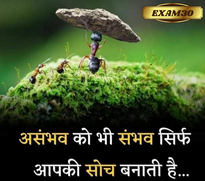 Exam30_'s tweet photo. #motivational #Motivation #motivationquotes https://t.co/iPU72g8024