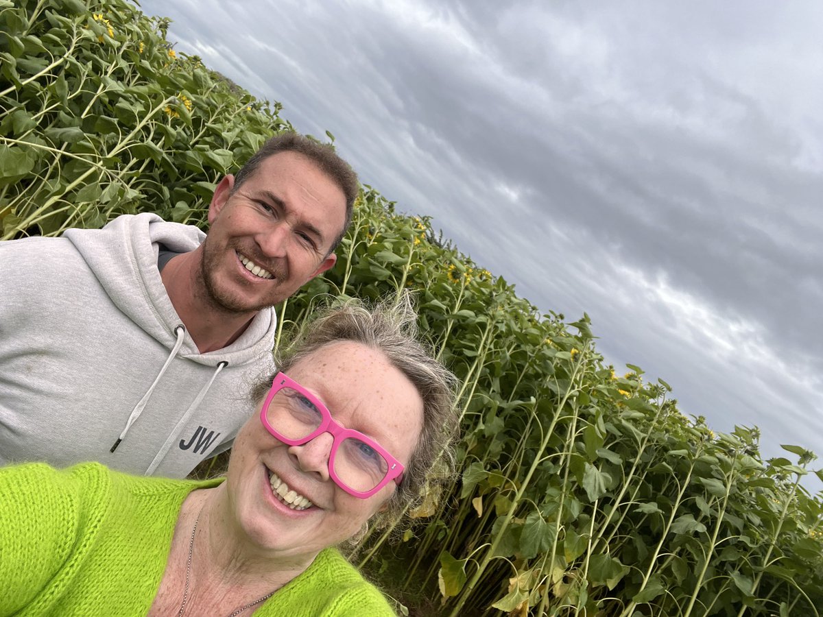 The sunflowers are out. Please pop in if you would like to pick your own at £5 a bunch  of five they will Make a great display. Supporting  Bransford community farm. Ploughman’s lunch on Thursday 12-00 until 3-00pm ish. Email me for more detail
kll@bransfordcommunityfarm.co.uk