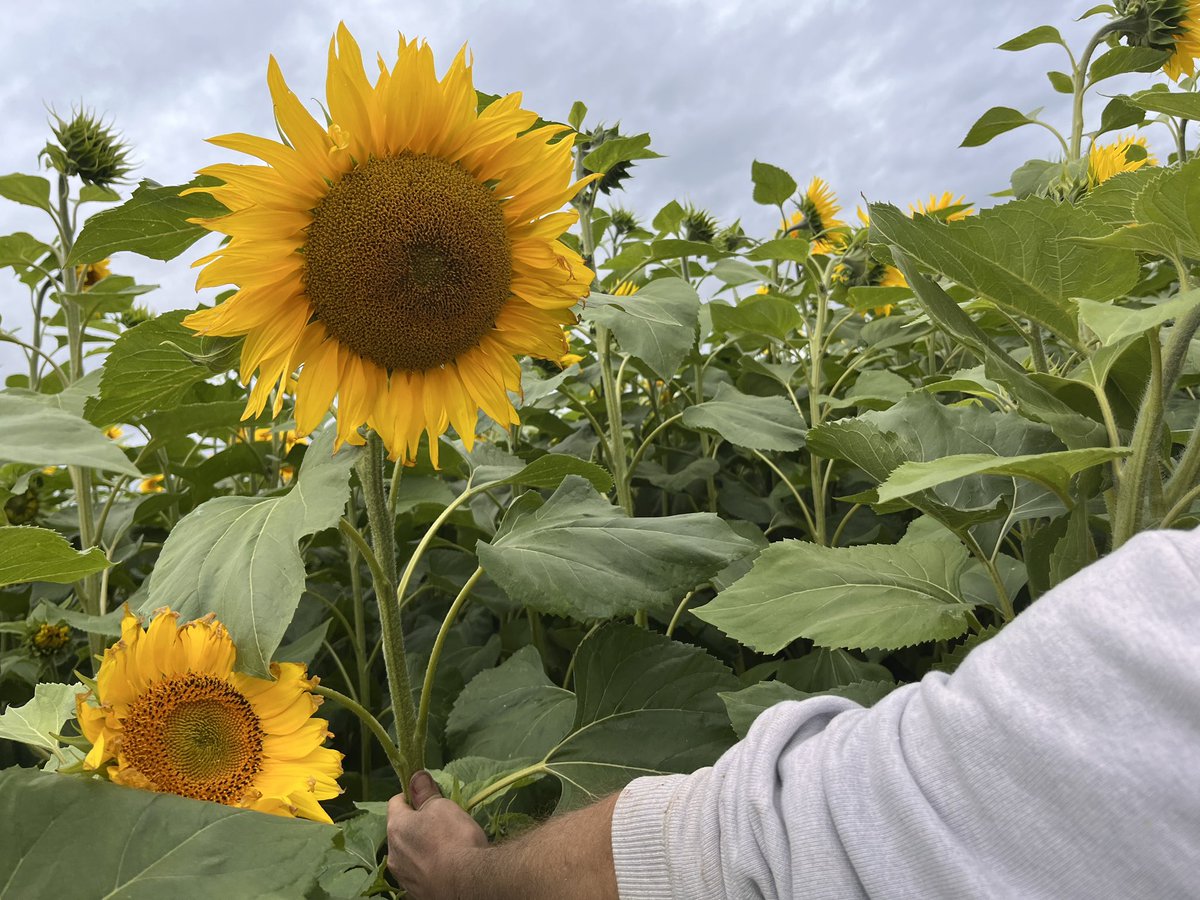 The Next Adventure tweet media