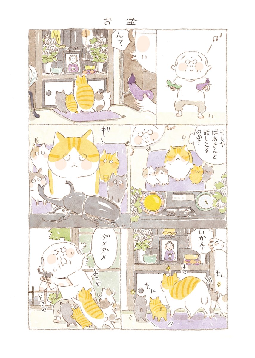 ひとりと一匹、そして島の人々が繰り広げる、毎日がいとおしくなる四季折々の彩りをお届けします。  

『ねことじいちゃん+番外編』 
ねこまき(ミューズワーク)
@nekomaki_danna
@nyanta_mikan

番外編95話 お盆 