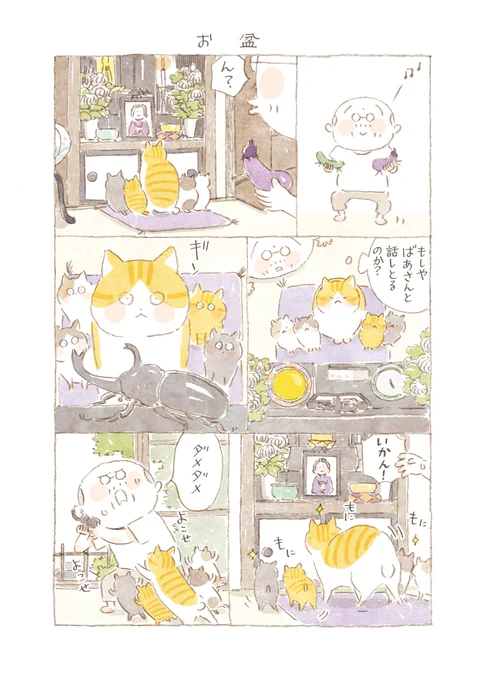 ひとりと一匹、そして島の人々が繰り広げる、毎日がいとおしくなる四季折々の彩りをお届けします。  

『ねことじいちゃん+番外編』 
ねこまき(ミューズワーク)
@nekomaki_danna
@nyanta_mikan

番外編95話 お盆 