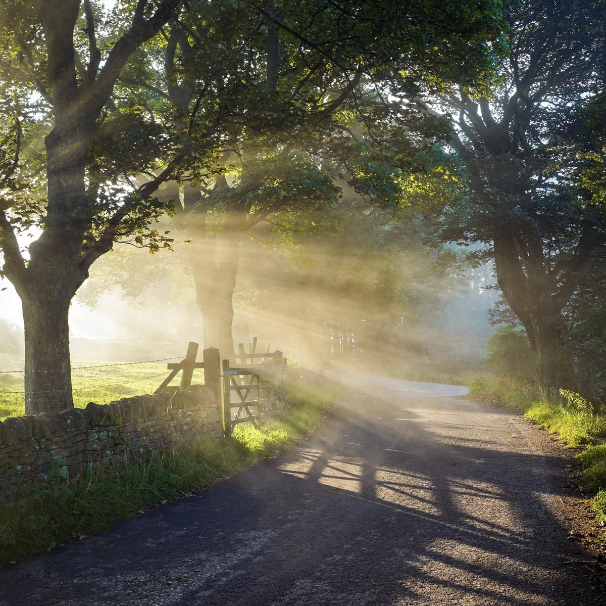 I’m often in awe at how very beautiful my little corner of the world is. These are the places I escape to when the world gets too much, and the moments I will always return to in my head when I can no longer get out to see them. #peakdistrict