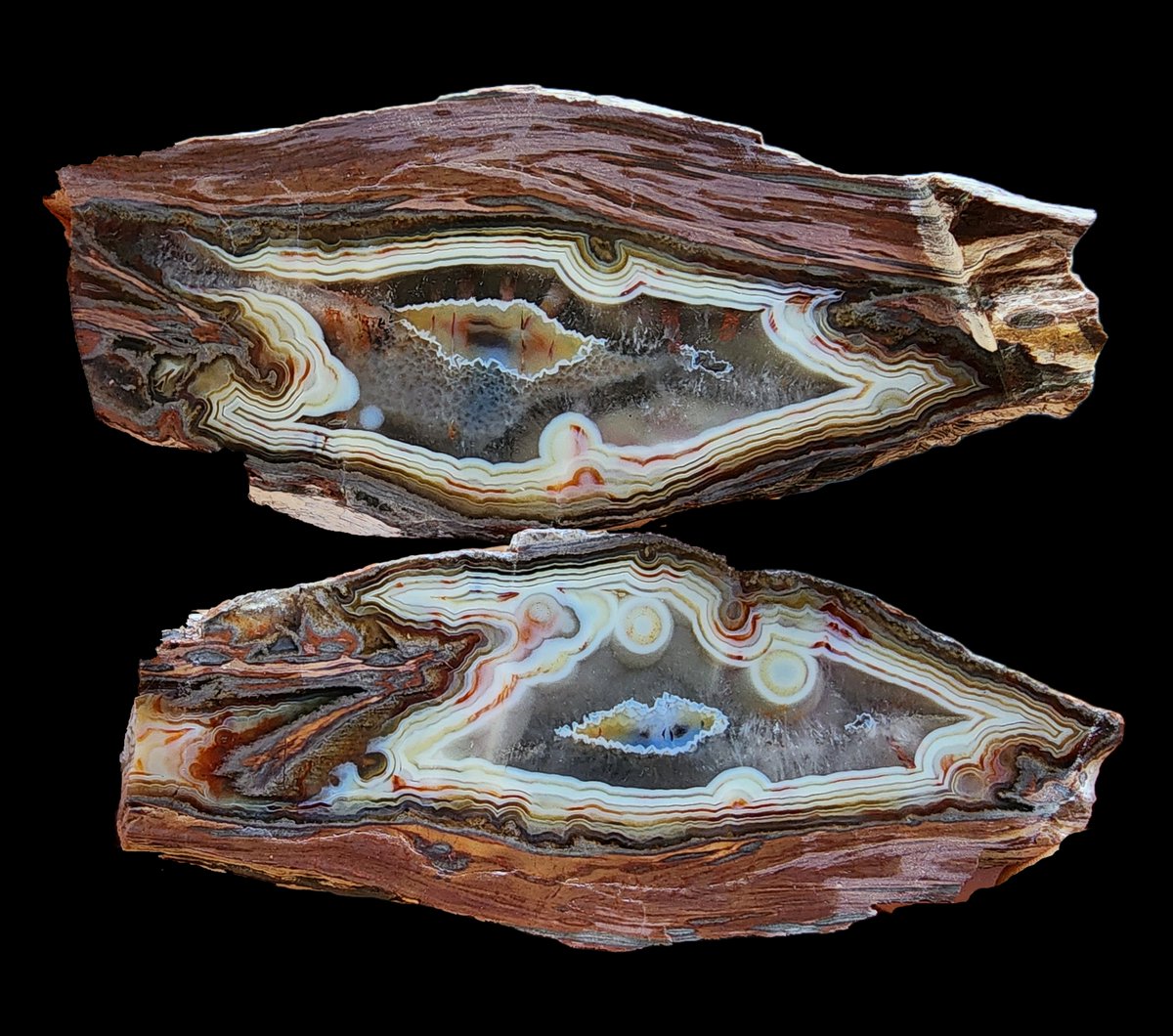 SrlGemstone's tweet photo. Banded Agate Pair - We ❤️ Rocks
https://t.co/RotQln3VT2
#agate #agata #achat #Crystal #Collectibles #agatecollection #Geology #geologicalformations #rocks #art #Decoration #lapidary https://t.co/fAEcAdVxPJ