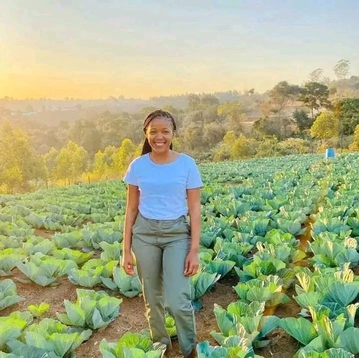 JoelOptimist1's tweet photo. Veggies are very profitable during dry season. #ILSM❤️ #WomenInAg https://t.co/yQaCg7ZkUx