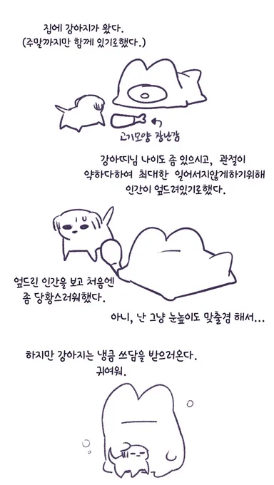 강아지가 왔다 