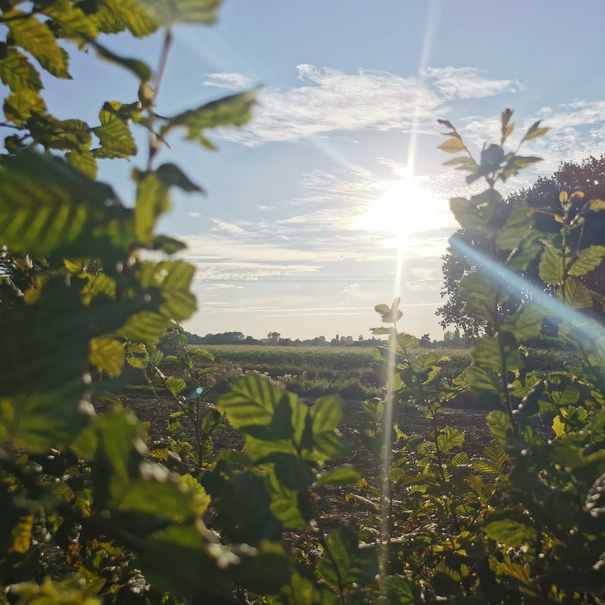soanito's tweet photo. Je profite du soleil ☀ du nord
Je travail l'endurance en effort Fondamentale tout au long de ces 15km à la cool.
J-11 TCO 62k 😁
#running #runner #trailrunning #runnerworld #run #trail #trailrunning #instarunners #ラン #ランニング https://t.co/hFRSgdbDMa