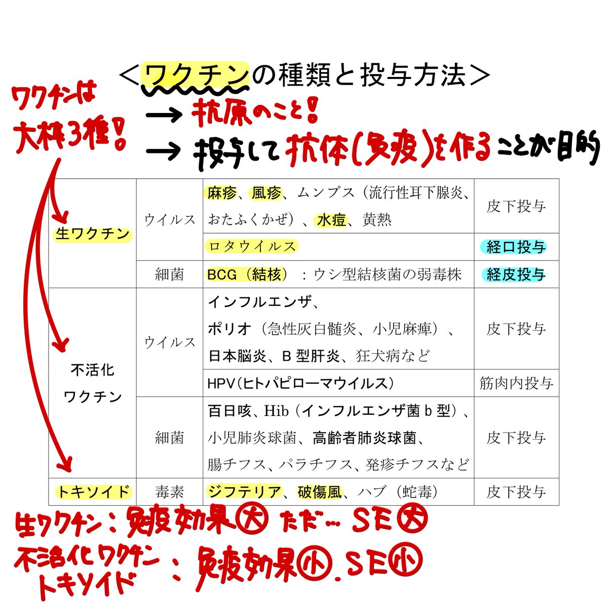 生 ワクチン ゴロ