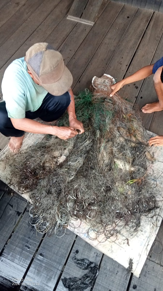 Wahyudi_Luhkan's tweet photo. Rabu (28/8),Wahyudi Rachman,Luhkan Kab.HSU,di KUB Sapat Rawa,Ds.Pajukungan Hulu,melaporkan hasil tangkapan Ikan sepat rawa menggunakan Jaring Insang sebanyak 150 Kg dgn harga jual Rp8.000/Kg.
#GiatLuhkanSatminkalBWI
#HuluSU
#tangkap
#Luhlapor @bppp_banyuwangi https://t.co/UtiTsdF81G