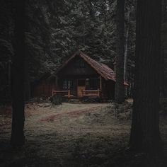 REDW00DRP's tweet photo. - Redwood Camp -

Campamento de verano, situado a dos horas de Londres. https://t.co/6aAjXZsSu6