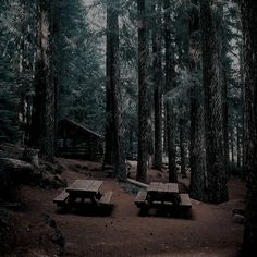 REDW00DRP's tweet photo. - Redwood Camp -

Campamento de verano, situado a dos horas de Londres. https://t.co/6aAjXZsSu6