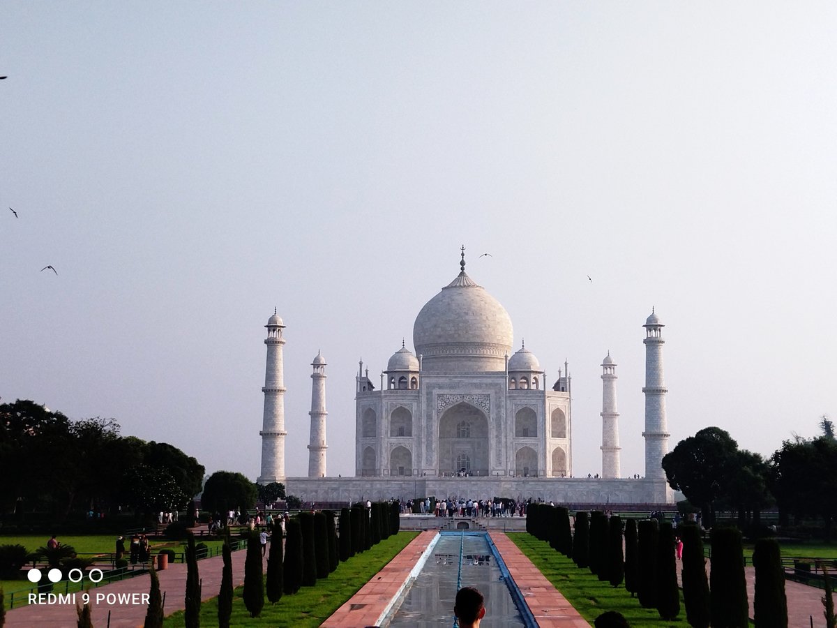 Dipti Lai tweet media